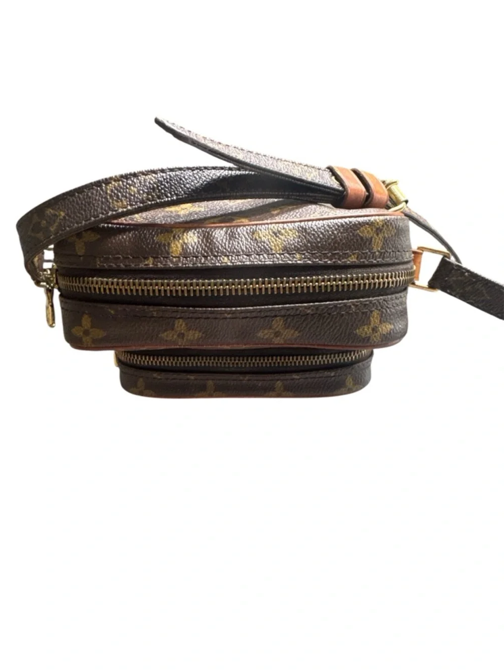 Louis Vuitton iconic louis